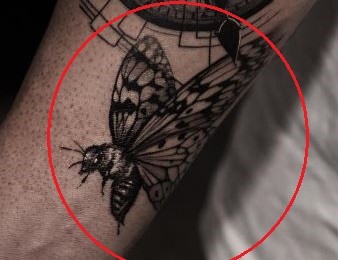 TJ Dillashaw butterfly bee tattoo 2