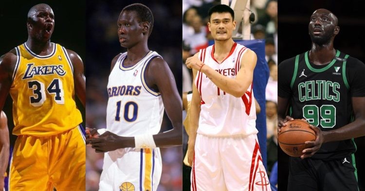 NBA players - Shaq, Manute, Yao and Tacko