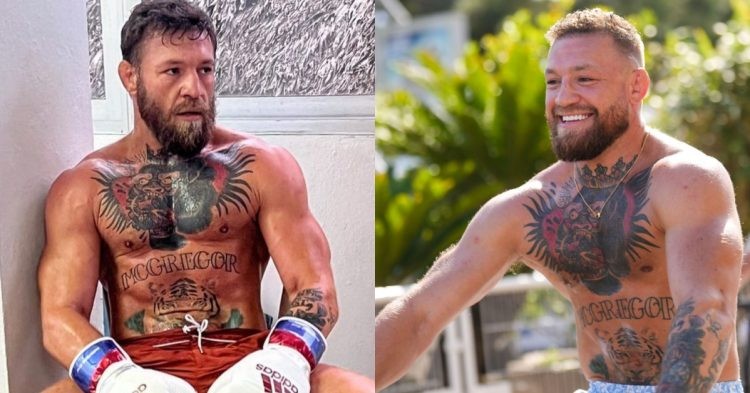 Conor McGregor in boxing gloves