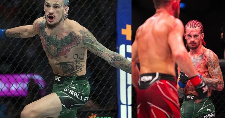Sean O'Malley bags the biggest win of his career after beating Petr Yan at UFC 280