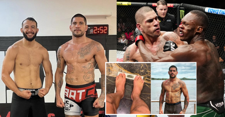 Alex Pereira reveals he weighs 210lbs on fight day
