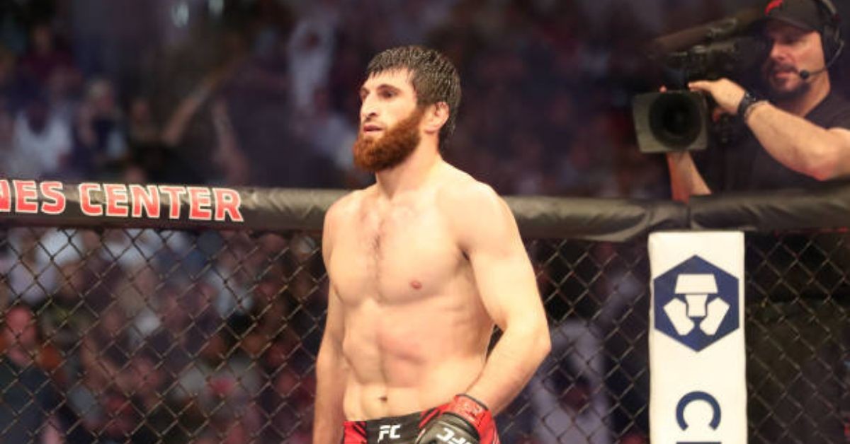 Magomed Ankalaev UFC
