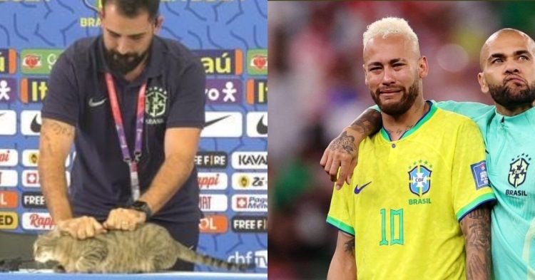 Fans believe a cat "cursed" Brazil