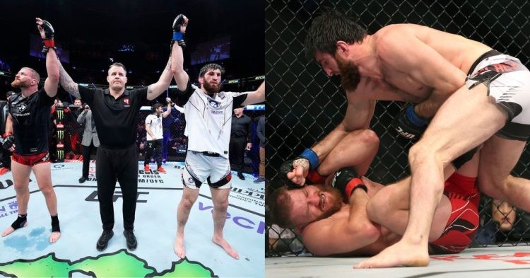 Jan Blachowicz and Magomed Ankalaev fight UFC 282 ends up in a split draw