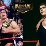 André the Giant was inducted in the first ever WWE Hall of Fame in the year 1993.