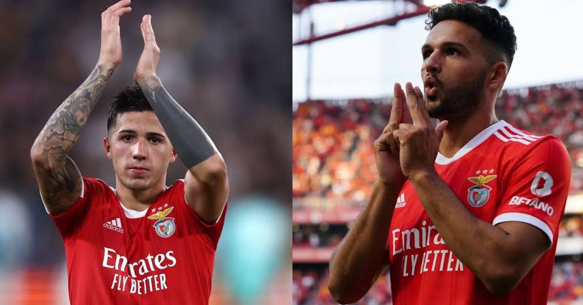 Benfica's Enzo Fernandez and Goncalo Ramos were breakout stars in the World Cup