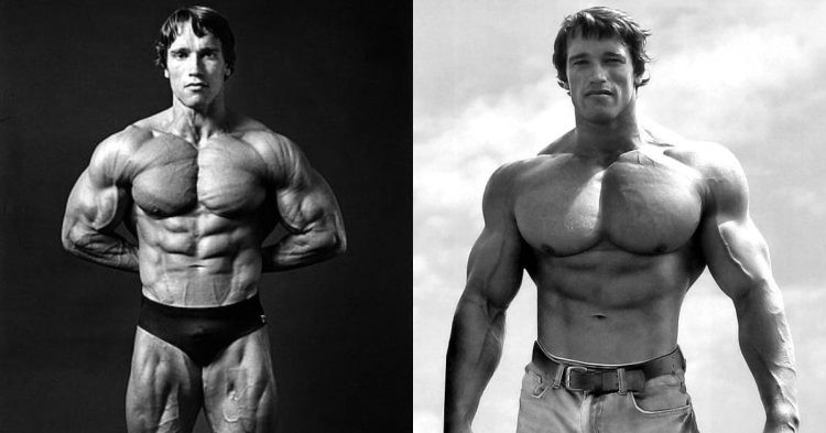 Arnold Schwarzenegger bodybuilding world