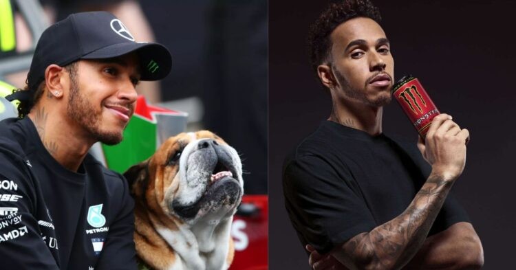 Lewis Hamilton with pet dog Roscoe (left), Lewis Hamilton for Monster Energy campaign (right) (Credits- thesportsman.com, Monster Energy)