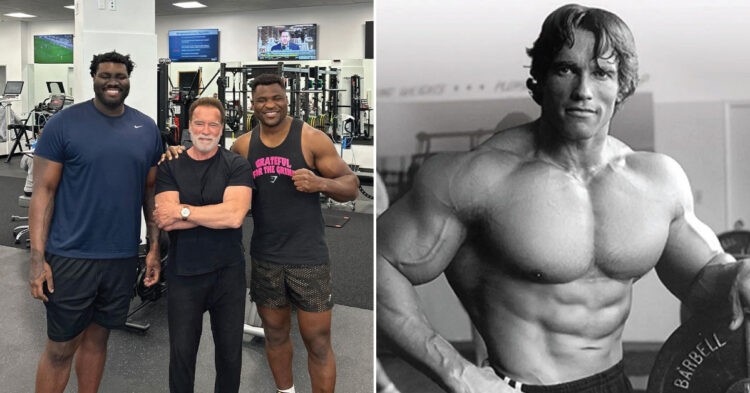 Francis Ngannou (third from left) and Arnold Schwarzenegger (right)