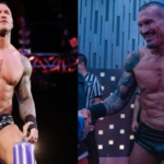Randy Orton on his retirement