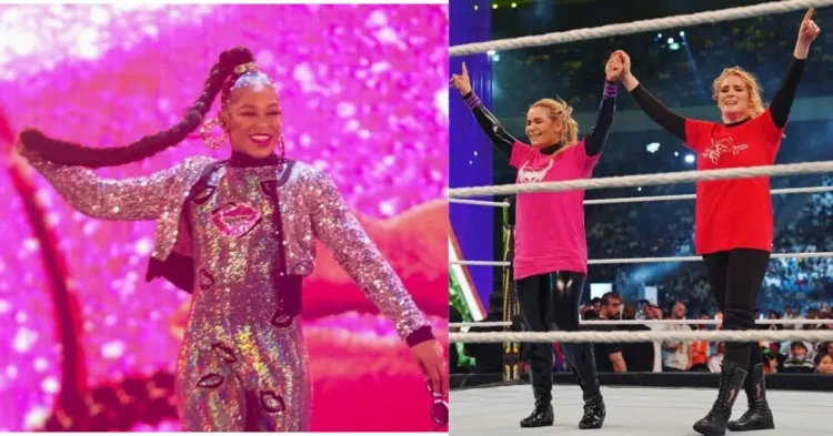 WWE women wrestling fully covered outfits Night of champions