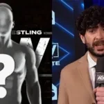 Jake Roberts begging to work with AEW and Tony Khan