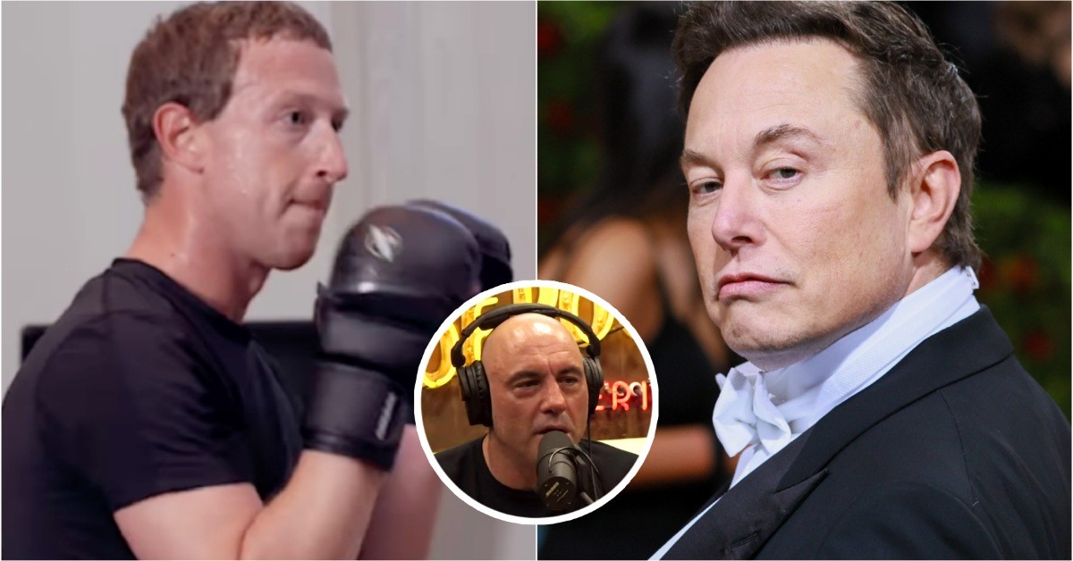 Elon Musk’s Mother Doesn’t Want Him to Fight Mark Zuckerberg and His ...