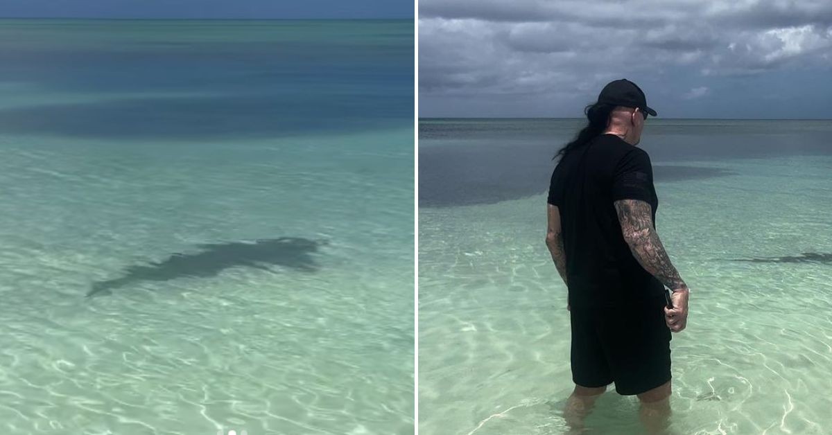 The Undertaker with the Shark at the Beachside 