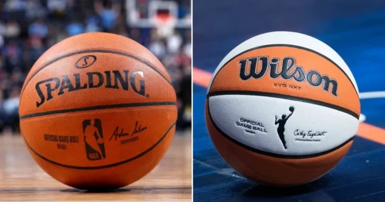 NBA and WNBA Ball (Credits - Yahoo! Sports and Next Hoops)