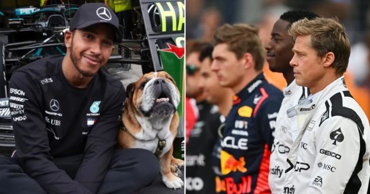 Roscoe to have a part in the new Apex movie alongside Brad Pitt (Credits: Forbes, Inside Sport)