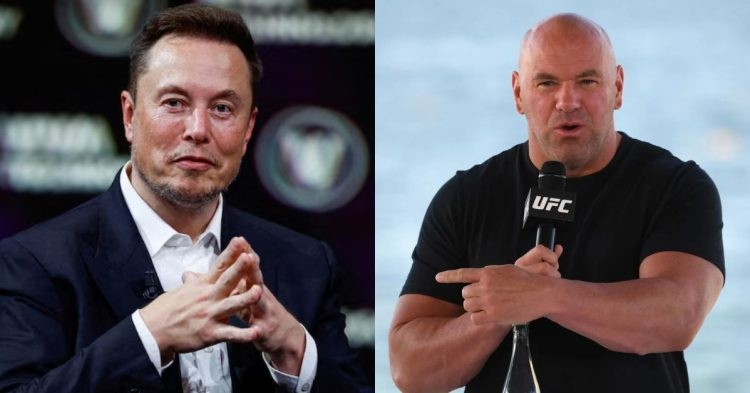 Report on the much-awaited fight between Elon Musk and Mark Zuckerberg as the UFC finds itself absent from the event's promotional endeavors.