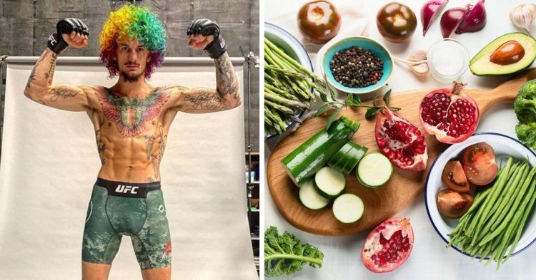 Sean O'Malley's experiment with the vegan diet