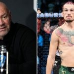 Dana White praised Sean O'Malley in post UFC 292 interview (Credit-Forbes)