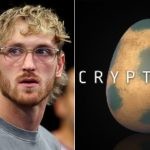 Logan Paul faces backlash for CryptoZoo scam
