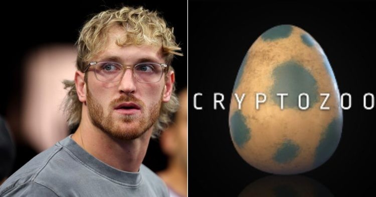 Logan Paul faces backlash for CryptoZoo scam