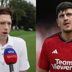 Report on Tom Holland as the British actor weighs his opinion on the Manchester United center back, Harry Maguire.