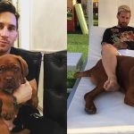 Report on Lionel Messi as he gives an update to Migue Granados on his pet dog, Hulk, a seven-year-old Bordeaux Mastiff.