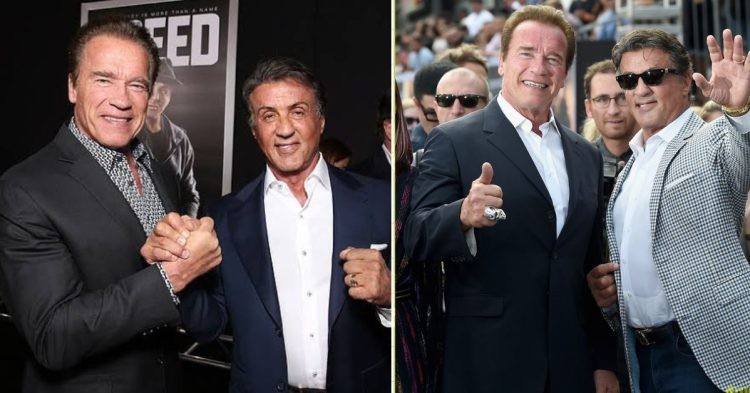 The Real Reason Why Arnold Schwarzenegger Ruthlessly Shut Down ...
