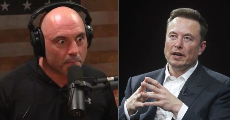 Joe Rogan and Elon Musk