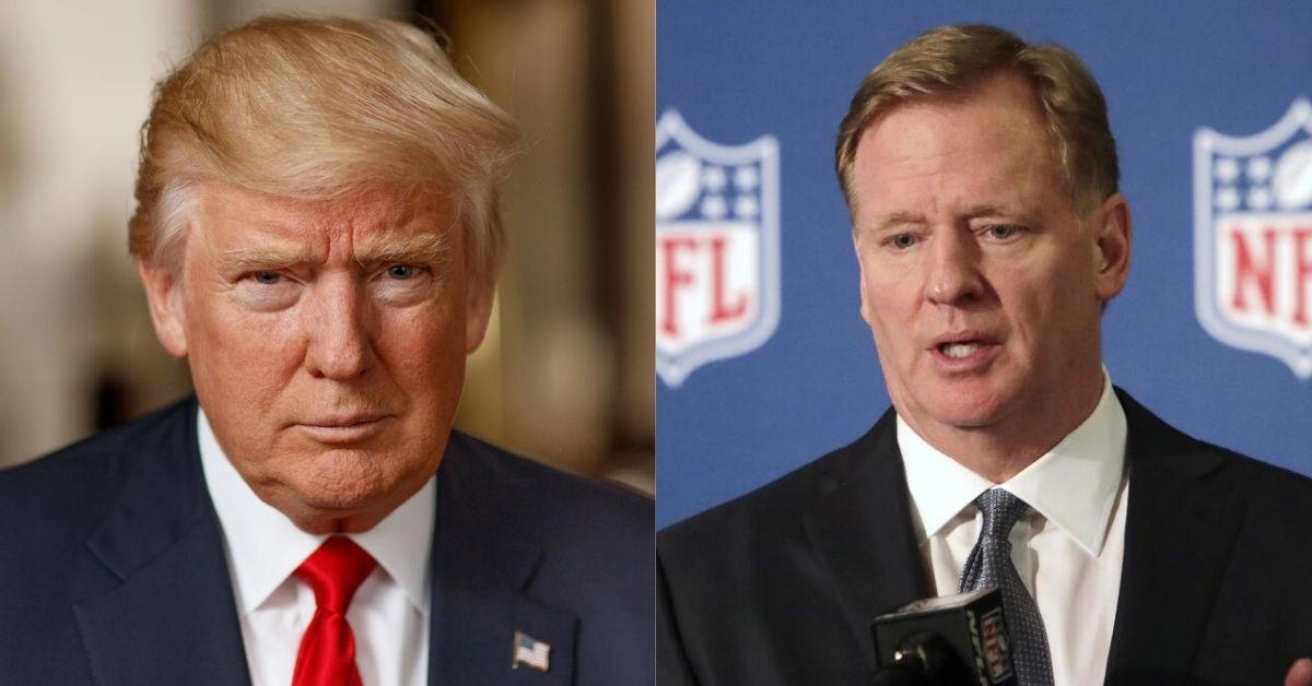 NFL commisioner Roger Goodell and Donald Trump