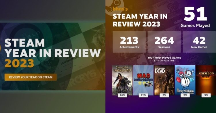 Steam Year in Review