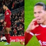 Virgil van Dijk's viral reaction to the referee during Arsenal clash