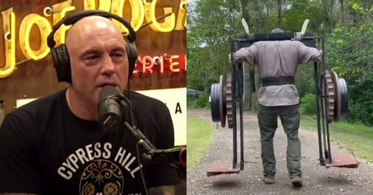 Report on Tom Haviland as Joe Rogan discussed the Australian powerhouse on his JRE podcast with a fitness educator.