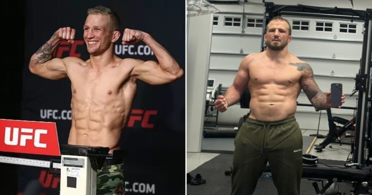 TJ Dillashaw - Before & After