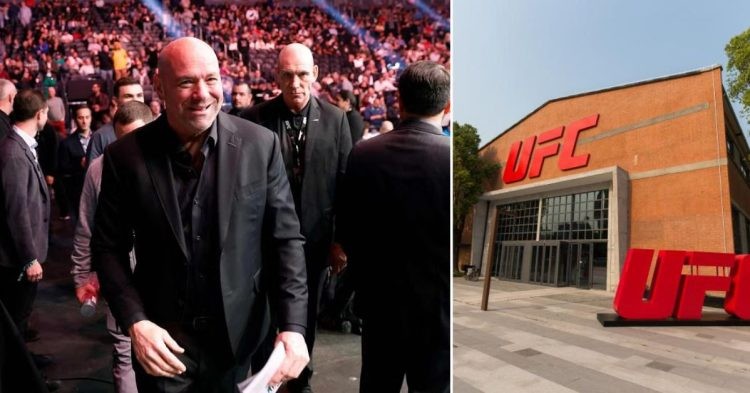 UFC CEO and President Dana White
