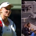 Fan falls to catch Elena Rybakina signed balls at Qatar Open 2024