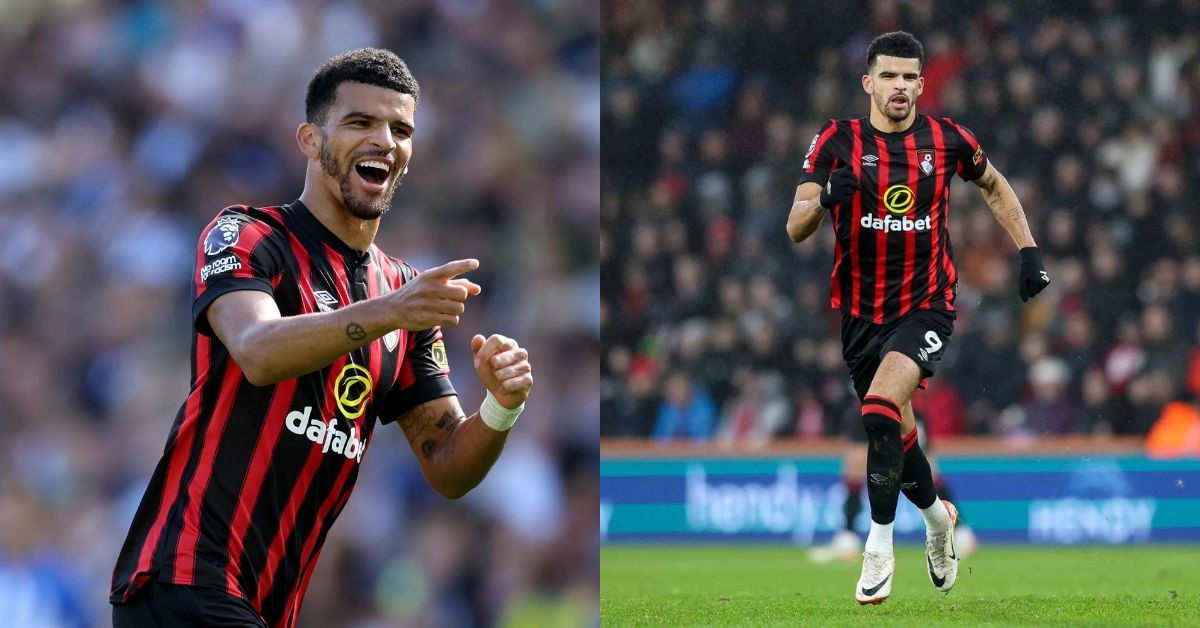 Dominic Solanke-AFC Bournemouth