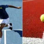 Roger Federer disliked playing on carpet courts