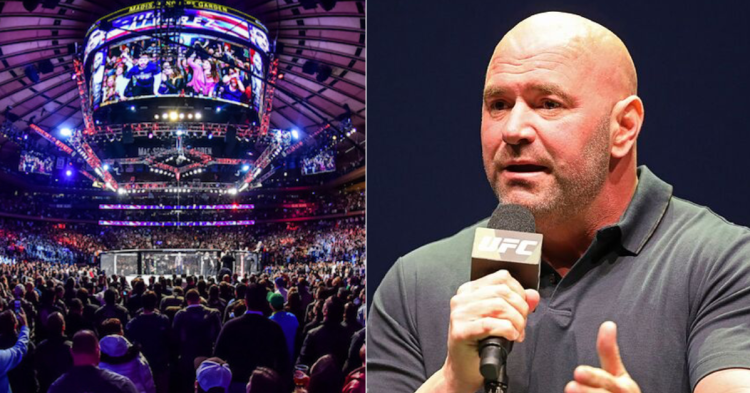Dana White serves as the CEO and President of the UFC