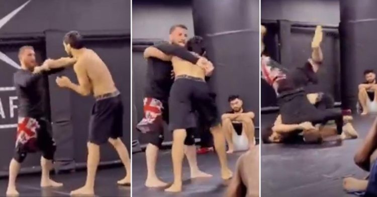 Merab Dvalishvili gets slammed by opponent during a grappling session (1)