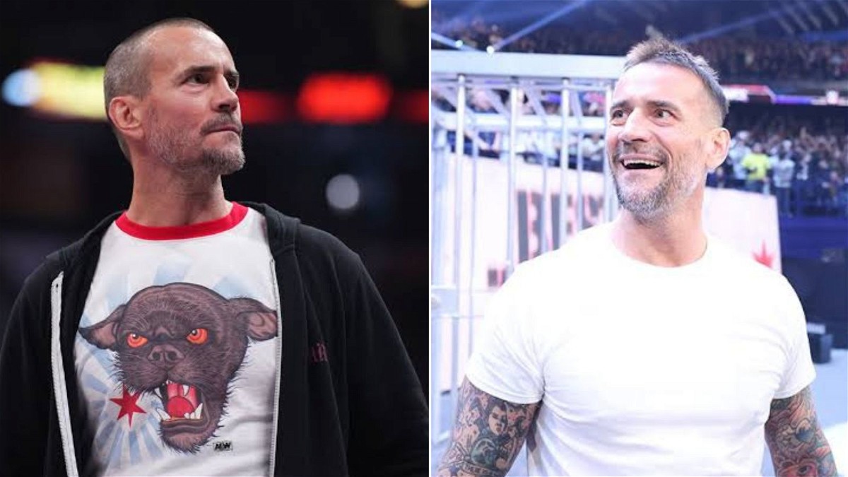 CM Punk in AEW and WWE